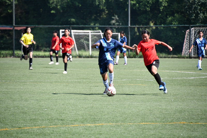 日决出各组 日决出各组